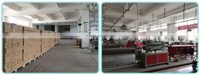 Supermarket Price Label Holder/Plastic Clear Label Holder