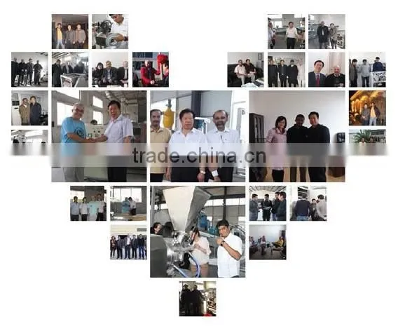 Best-selling Peanut Frying Production Line with CE