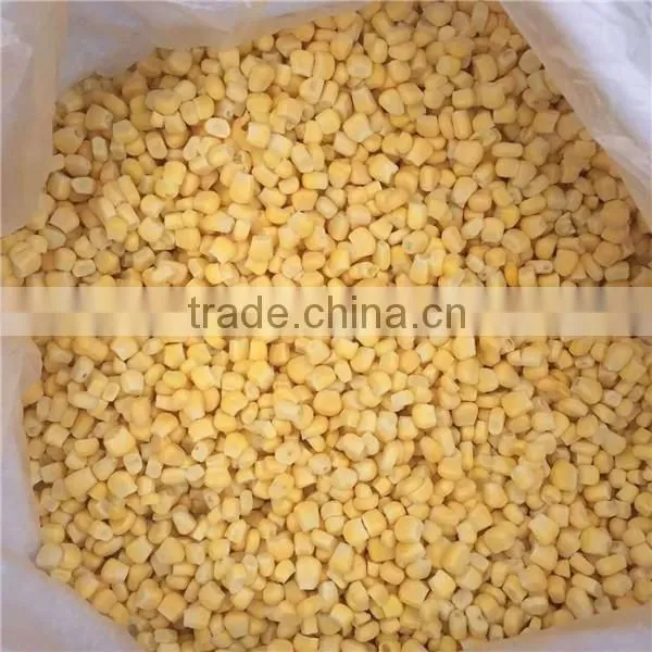 IQF Frozen Sweet Corn Whole Kernels