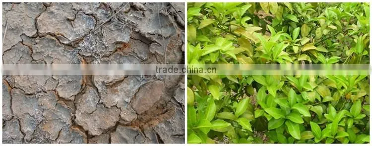 FAQ 13--SH9071 Huminrich Humate Soil Conditioner