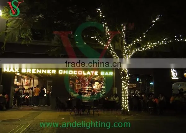 12V LED clip strip light outdoor christmas decoration CE RoHS listed