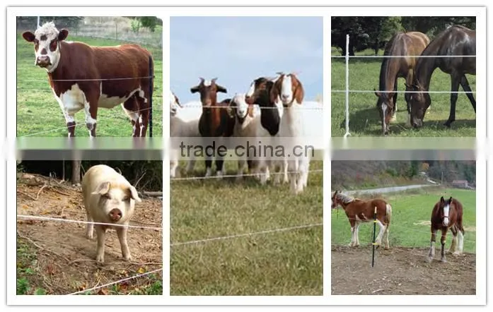 temporary fence horse polyrope from China supplier