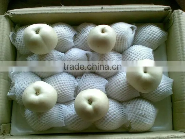 Fresh fruit emerald pear with good price for exporting