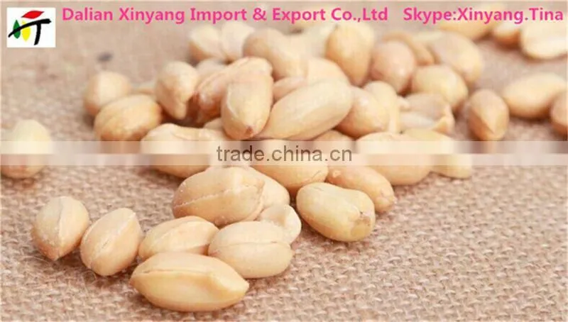 salted peanut/peanut blanched/peanut salted