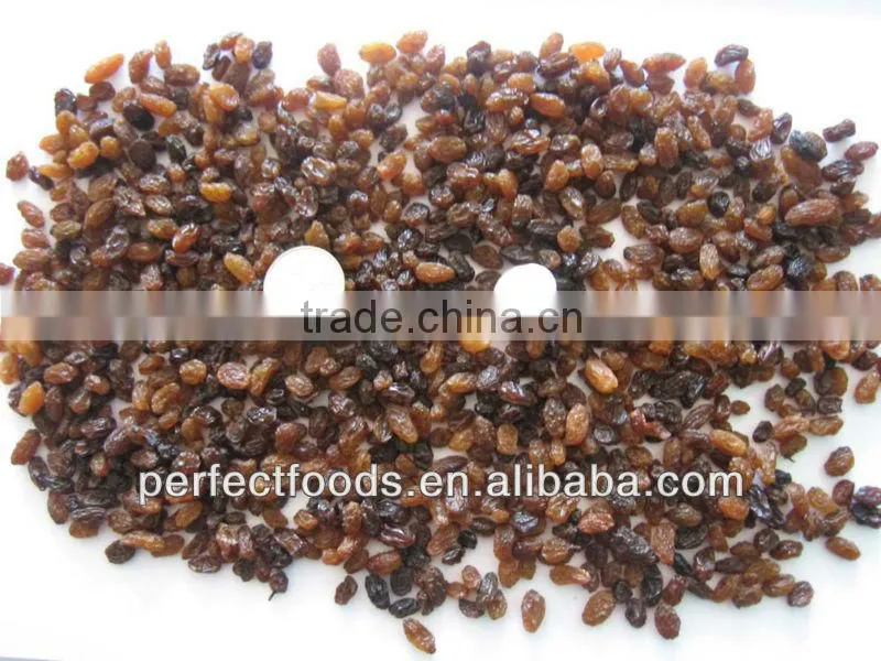 dried fruit raisin sultana