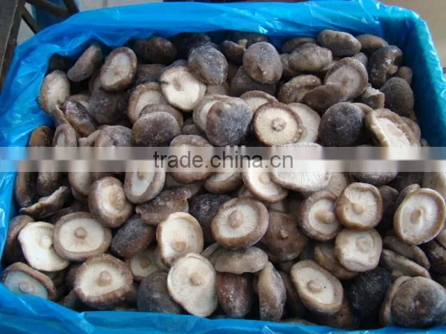 Quick Frozen shiitake mushroom(IQF)