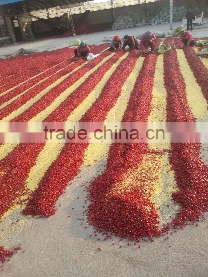 Chinese manufacturer exporter high purity low moisture sanying ,chaotian chilli erjintiao chilli dried red chilli pepper rings