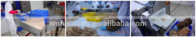 Professional export dried squid supplier from China