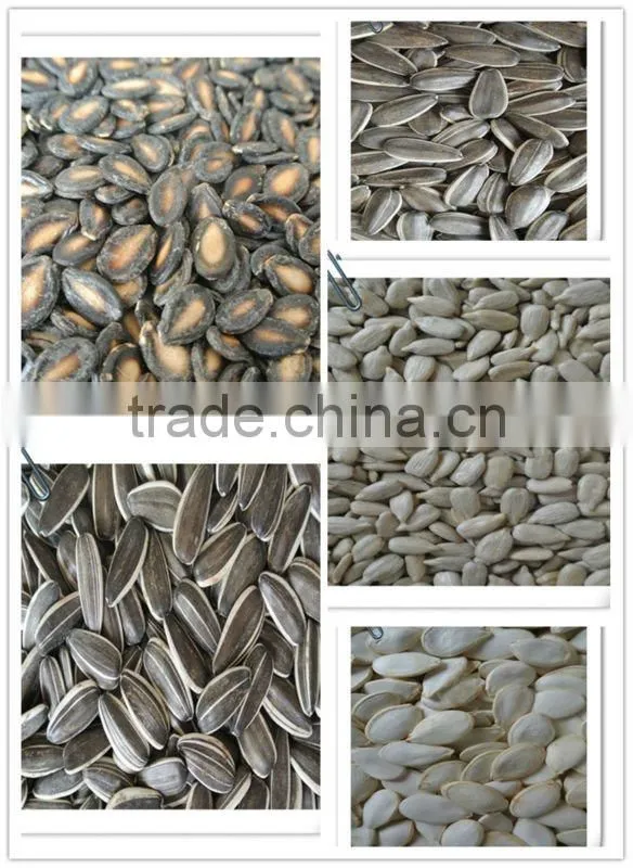 Inner Monglia sunflower seed kernels (bakery)