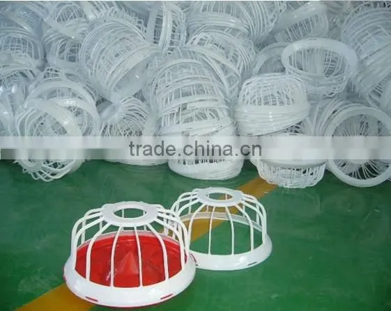 feeding line for poultry