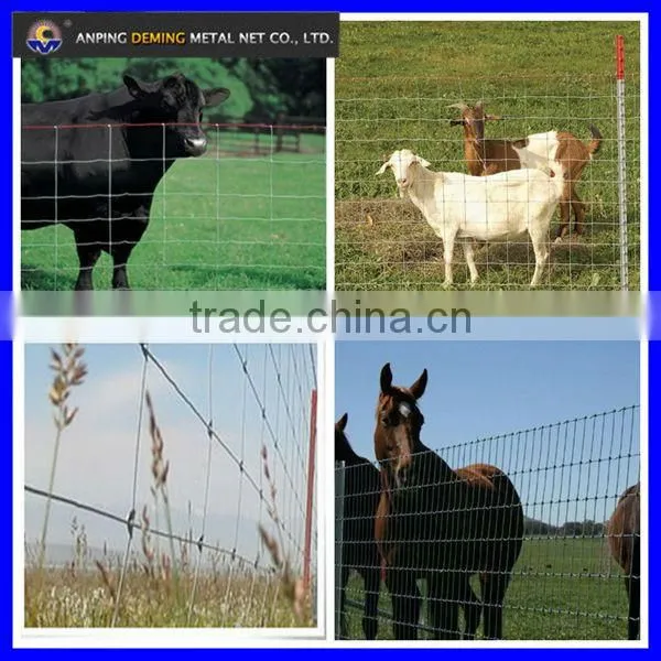 DM cheap field fence ( Anping factory )