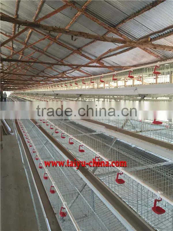 TAIYU Chicken Farm Chicken Cage for Sale