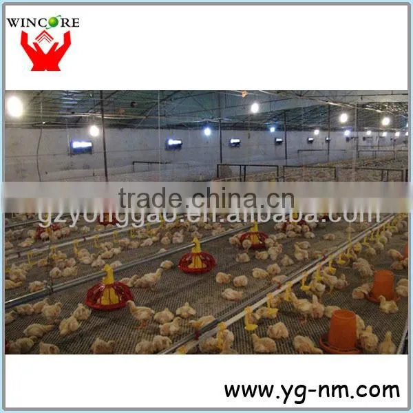 Automatic poultry watering system for chickens