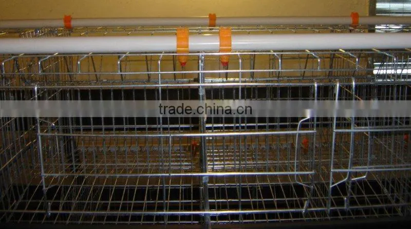 Automatic drinker system