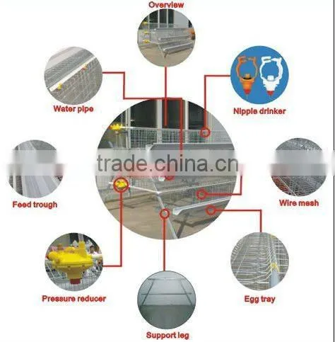 Automatic Poultry Equipment for 20000 birds farm sale