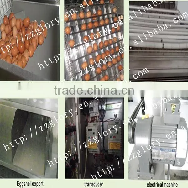 High Efficient Durable Boiled Chicken Egg Peeling Machine