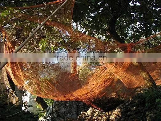 olive tree harvest net