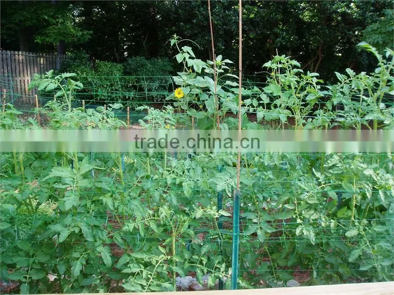 high quality climbing plant support net