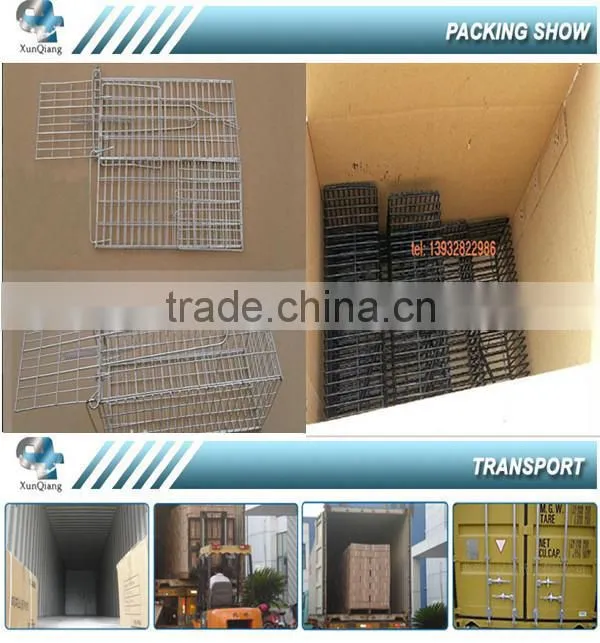 rat mouse trap cage
