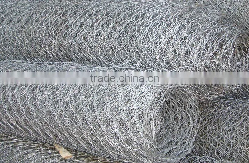 Bird mesh roll