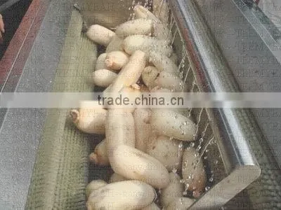 TY-1500A High Quality Radish Washing Machine (Video) Factory