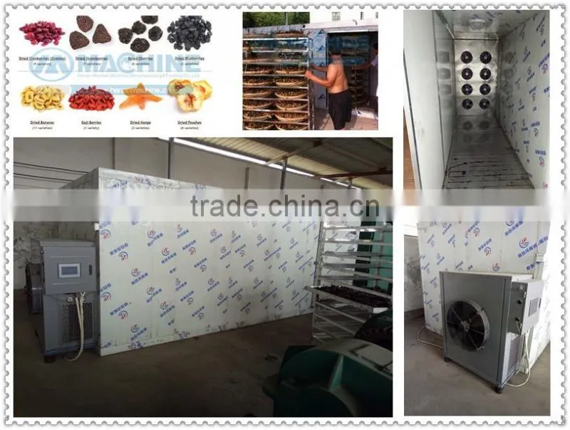heat pump fruit dryer argos for fruit vegetable herb meat fish chilli for moringa leaves