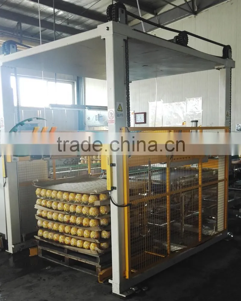 Automatic Mechanical Palletizer for Boxes