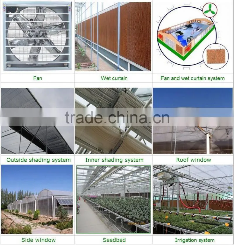 Hot sale 6.4m agricultural multi-span plastic film greenhouse for planting