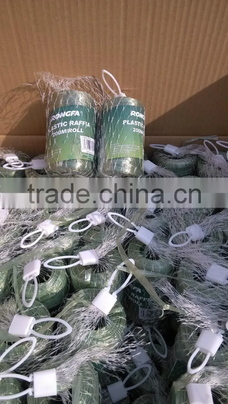 100g 200g 250g Fresh PP Plastic Raffia