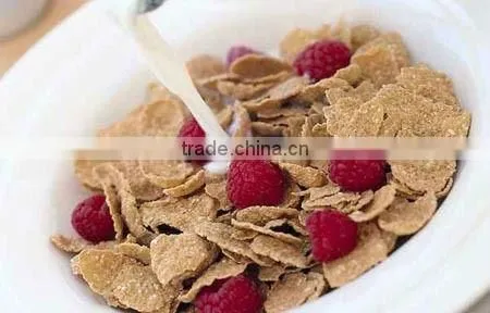 High quality breakfast cereals processing line