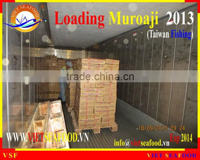 LOADING MUROAJI FOR TUNA BAIT