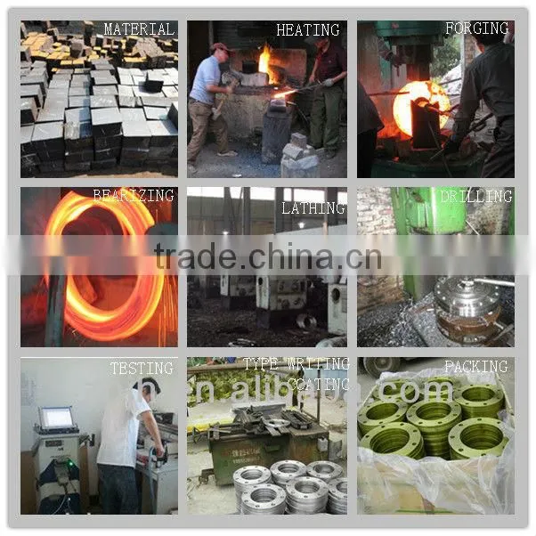 High Quality ANSI ,DIN Standard Forged Blind Flange Made in China