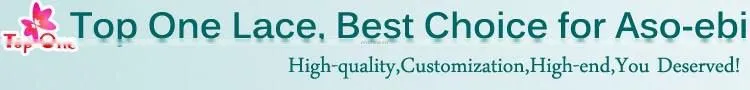 Newest fashion lace designs for party wedding dress African organza lace fabrics textile embroidery beige punjabi women fabrics