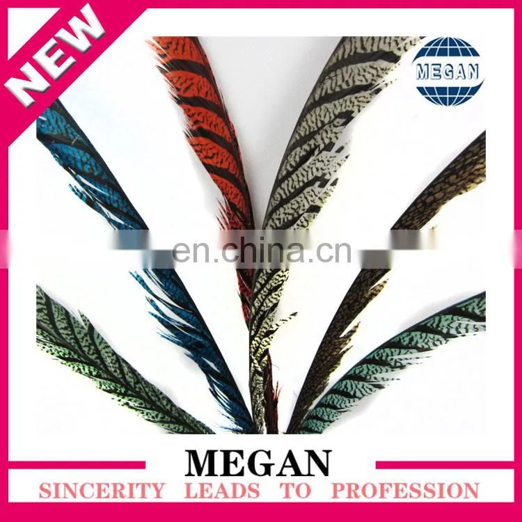 decorative long reeves pheasant feathers