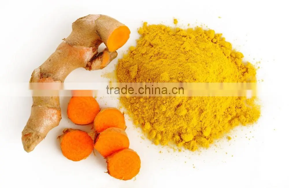 Best price Fresh Turmeric Root from Vietnam