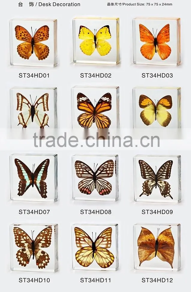 2016 New style wholesale paperweight with real butterfly