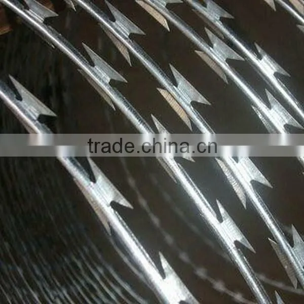concertina type razor barbed wire mesh