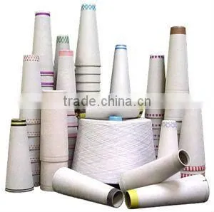 Precise pulp moulding plant