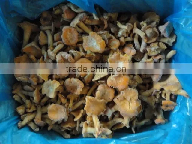 frozen style Chinese Chantarelle mushroom