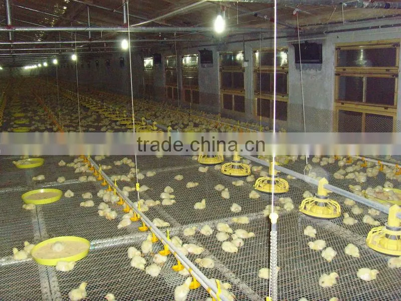 Broiler feeder/chick farming house