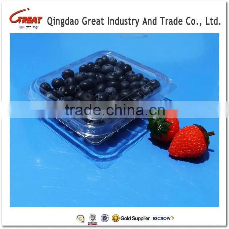 Plastic Fruit Packaging Blueberry Container