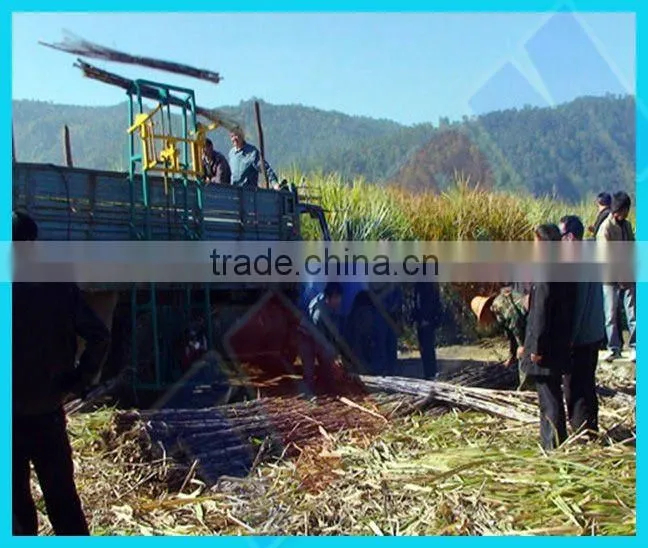 SL5 small size sugarcane loader for sale/ sugarcane loading machine from TAGRM
