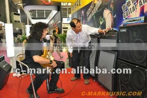 All Tube Guitar Amplifier