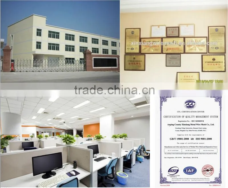 Anping hexagonal mesh