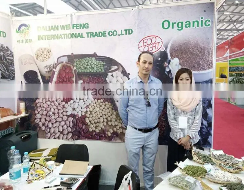 Chinese sunflower seed kernel 5009/0409/3638/363 fengkui type