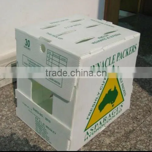 Nice design fresh fruit corrugated box packaging
