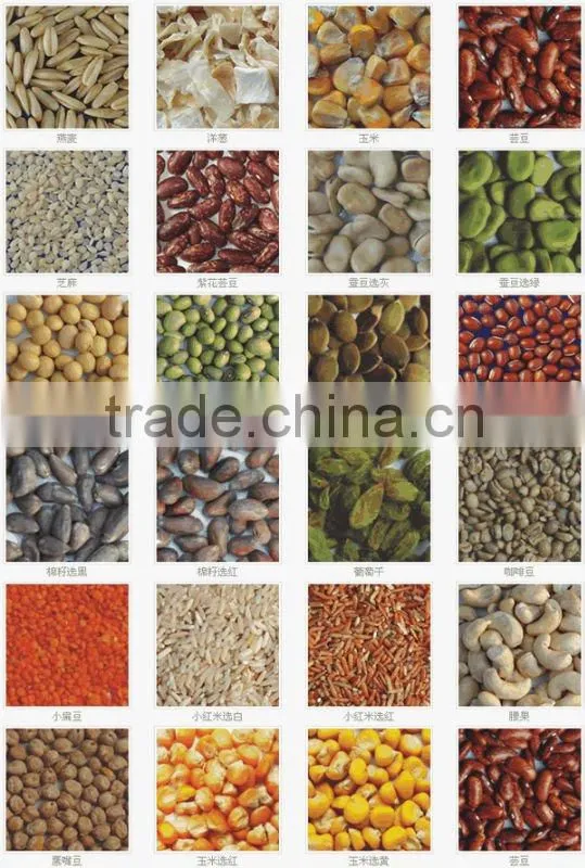 Color Sorting Machine