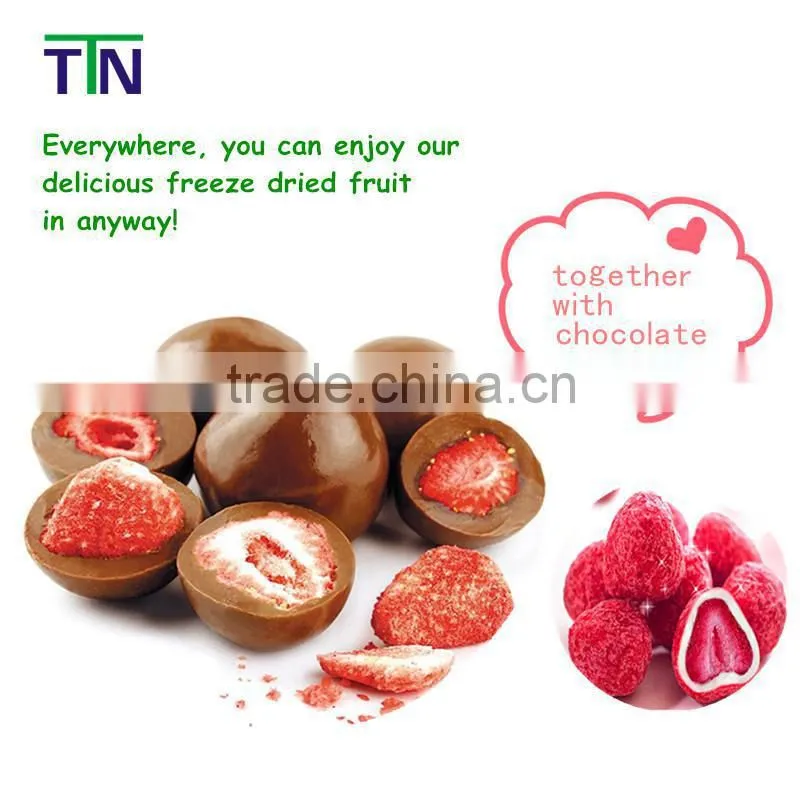 TTN Instant wholesale fruit flavored drink powder Fruit powder