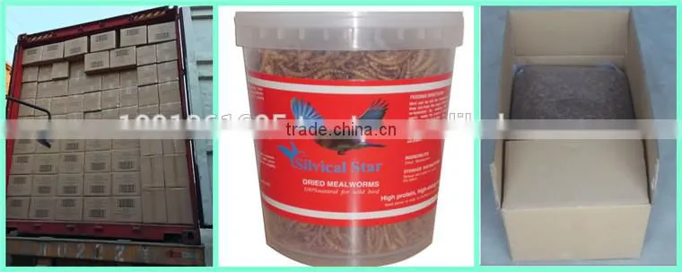 High nutrition dried mealworms fish food reptiles food