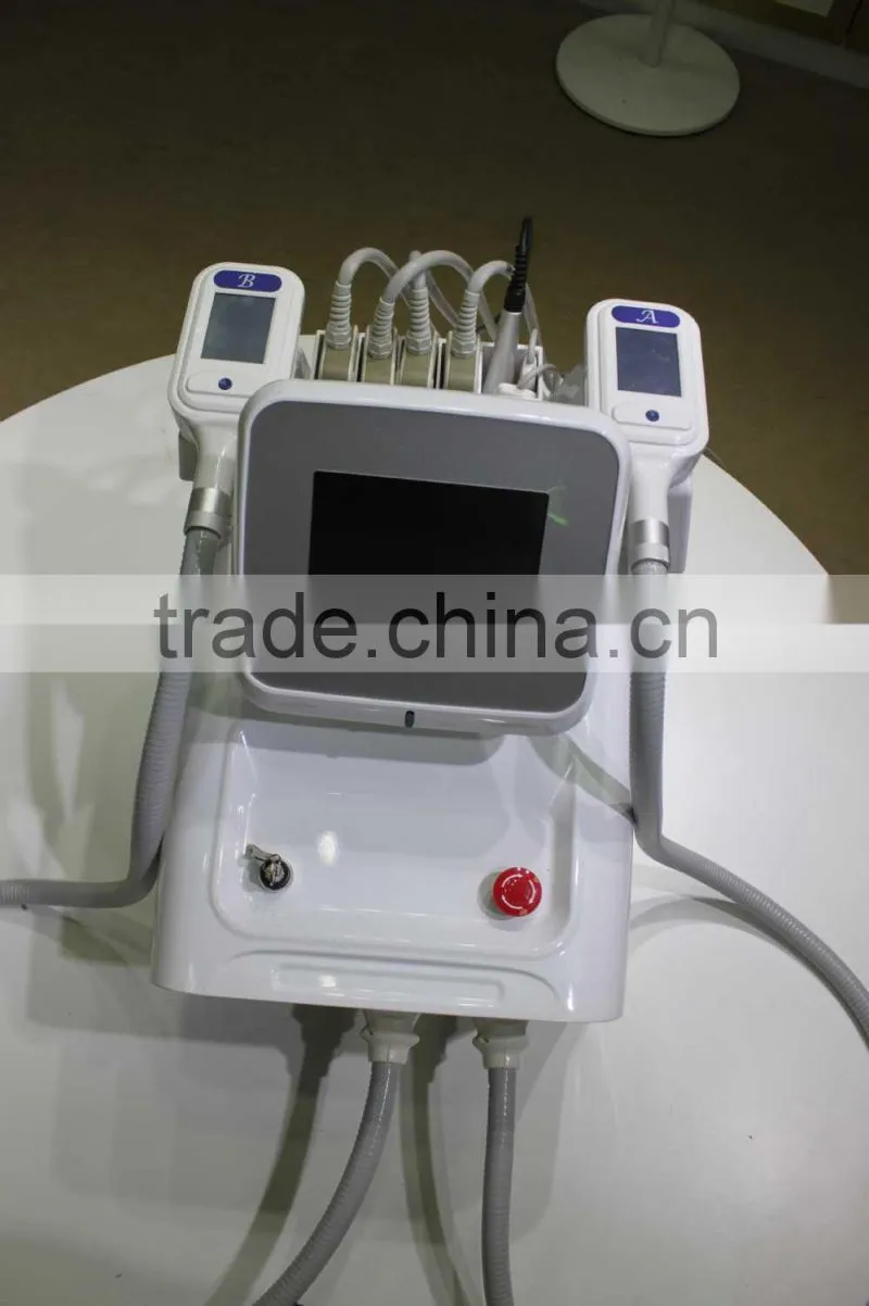 Portable Fat Reducing Machines Cryolipolyisis/Mini cryolipolyiisis fat freezing machine for home use